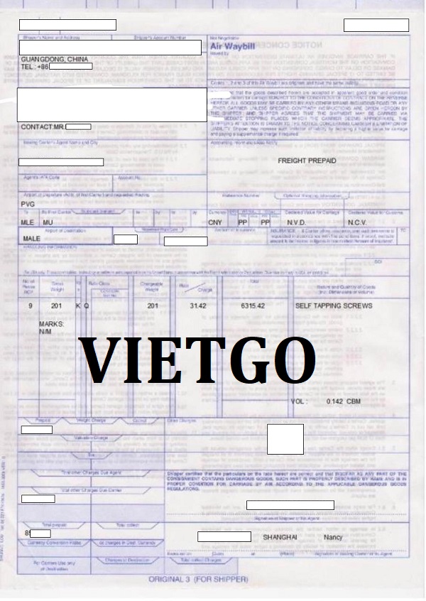 Tỏi Vietgo Tỏi Vietgo